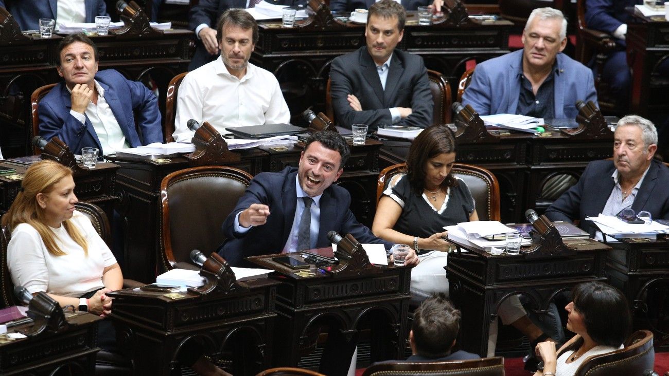 diputados radicales