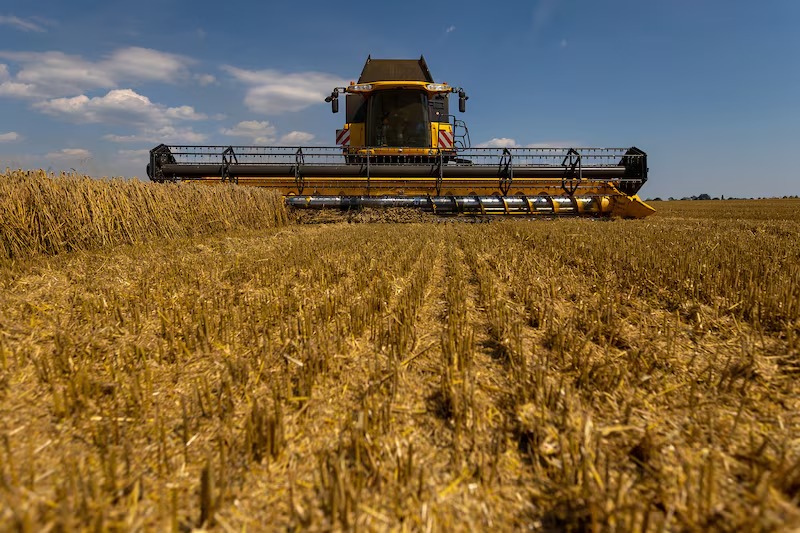 productos agrícolas